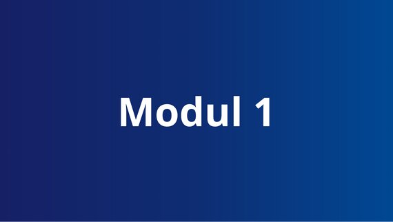 Text auf blauem Hintergrund "Modul 1"